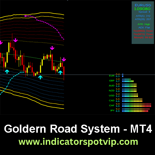 goldern road system indicatorspotvip
